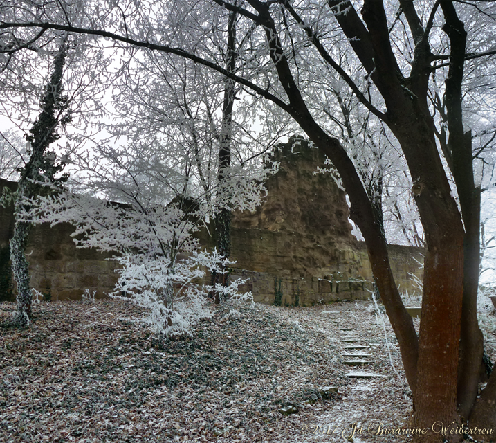Hinterer Bereich; Blick auf Burgfried 03